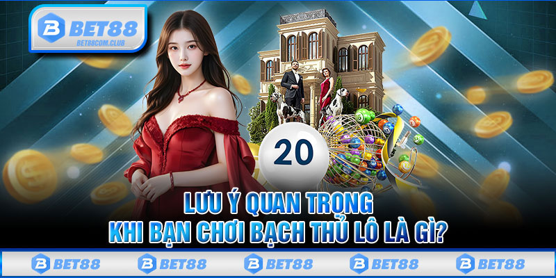 Lưu Ý Quan Trọng Khi Bạn Chơi Bạch Thủ Lô Là Gì ?